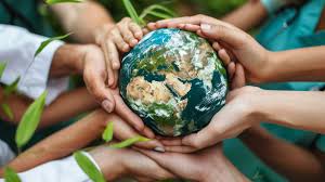 Embalagens para bolos são práticas e poupam o meio ambiente